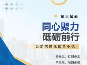 同心聚力 砥礪前行——公司信息化項(xiàng)目小記