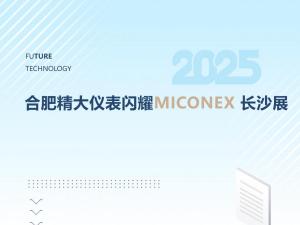 火爆收官！合肥精大儀表閃耀MICONEX長(zhǎng)沙展